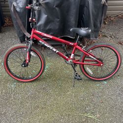 20in Bike