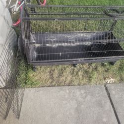 Guinea Pig Cage