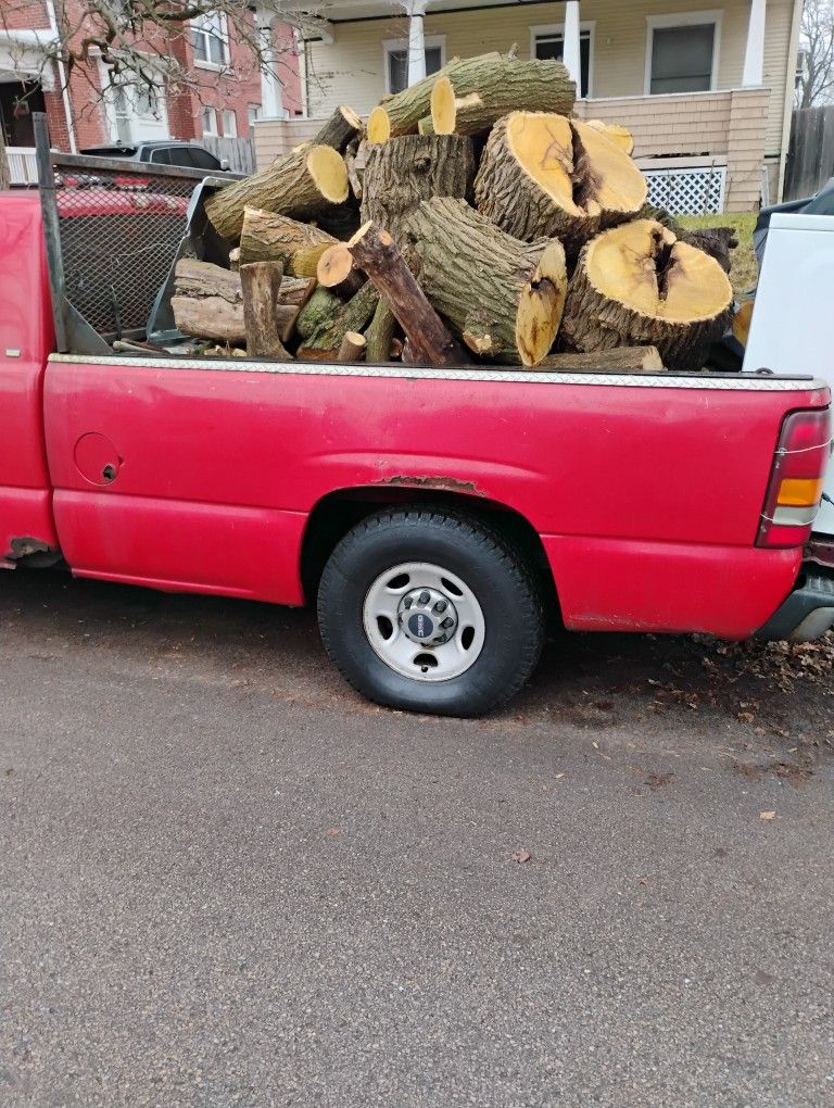 Hedge apple Old Sage Orange 8ft. Bed Can Deliver+