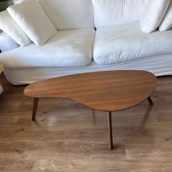 Modern Coffee Table