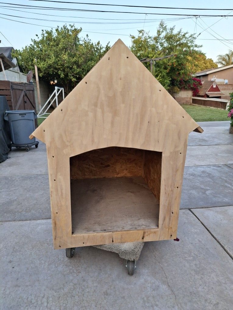 Dog House