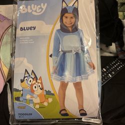 Bluey Costume 