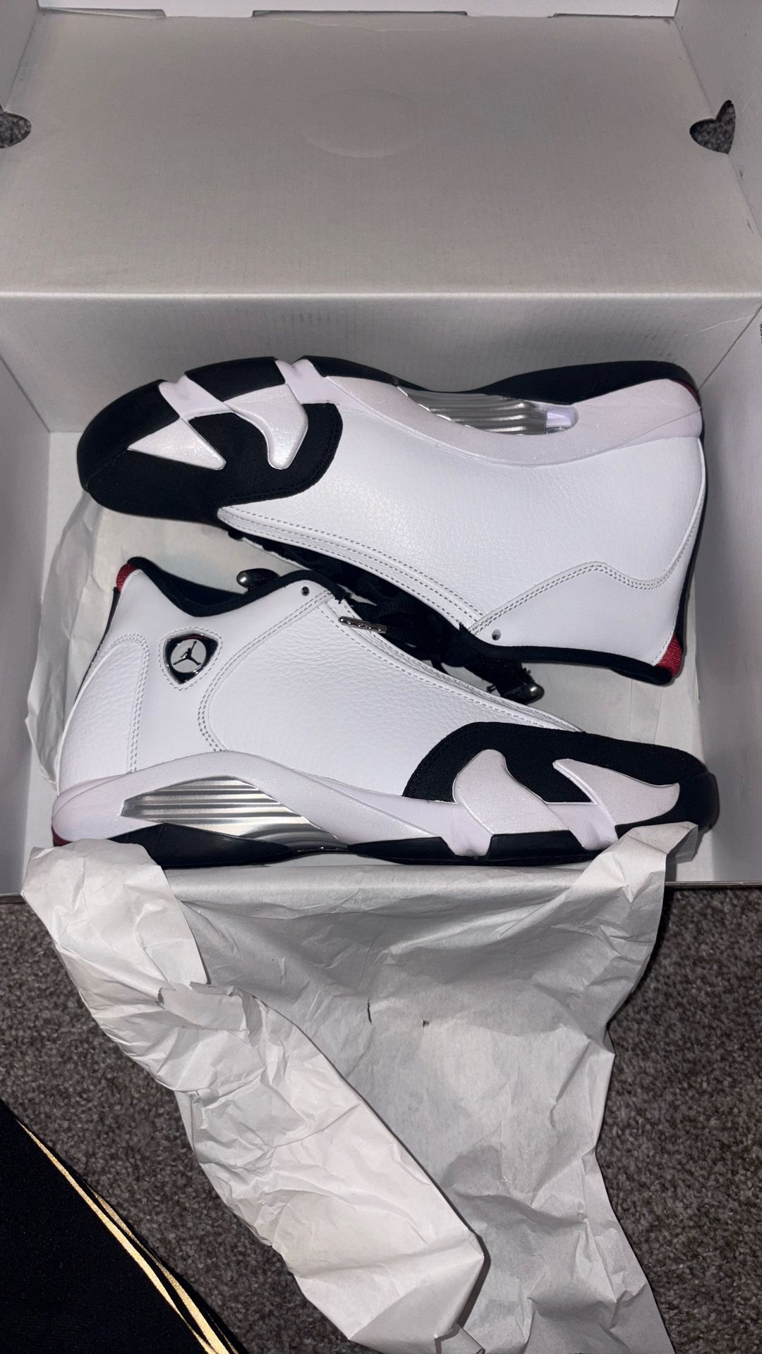 Jordan 14s