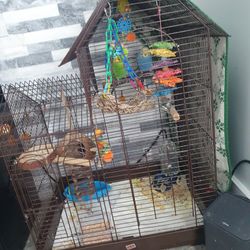 Bird  Cage Wth Birds And Accessories