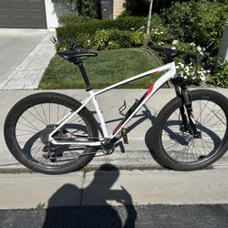 Specialized Hard Tail Fat Bike: L