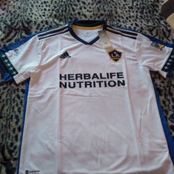 Galaxy Size L