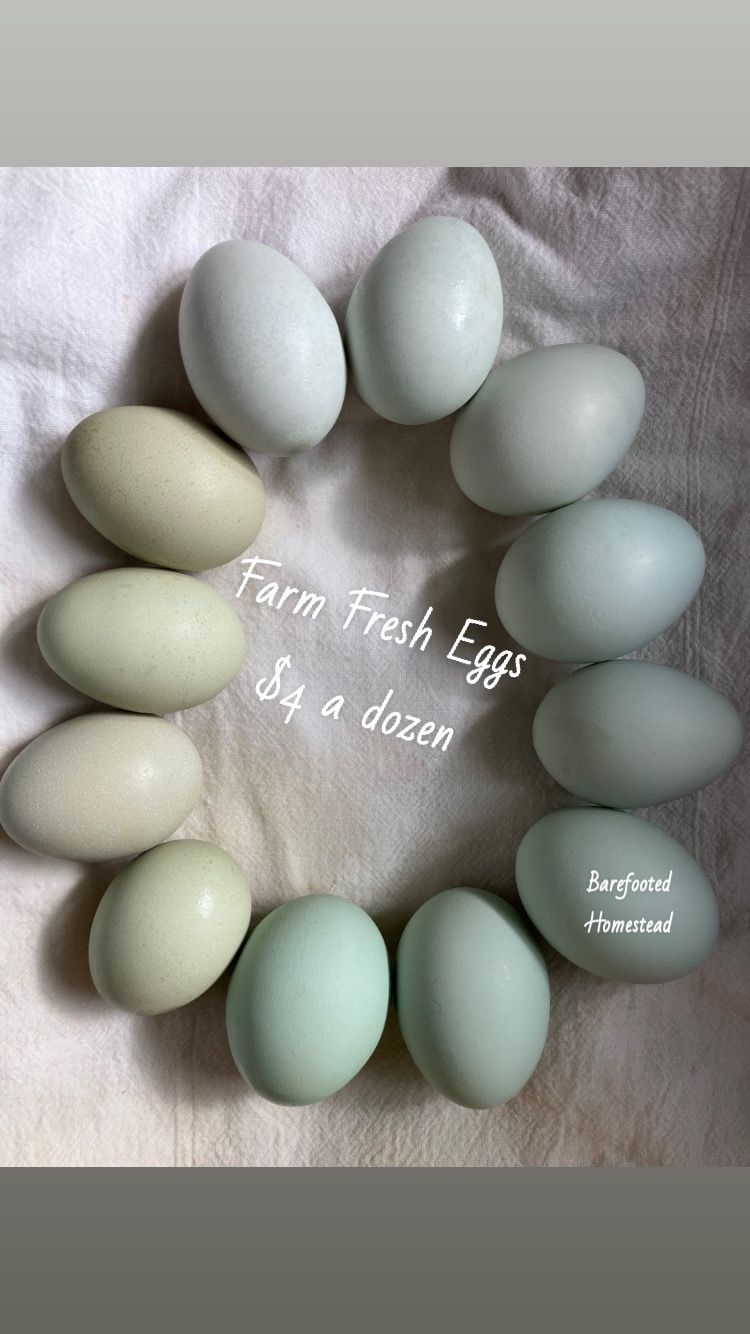Eggs