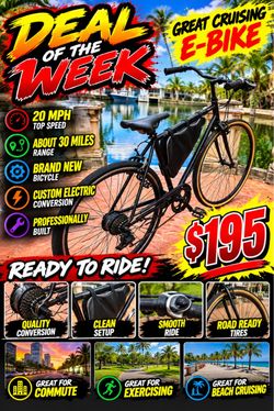 Ebike 195