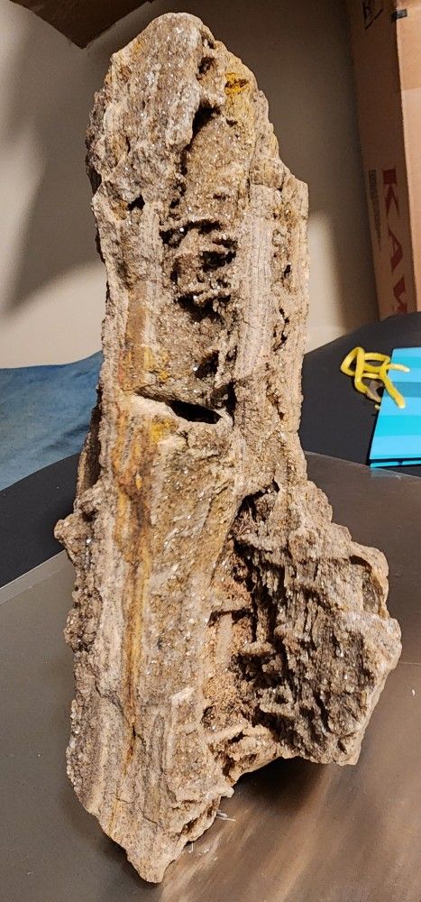 Museum Quality Alabama Quartz Petrified Wood