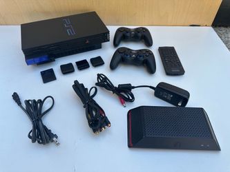 PS2 Fat body, MINT