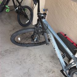 Adult Bike - 