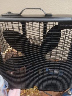 New box fan
