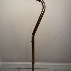 Walking cane