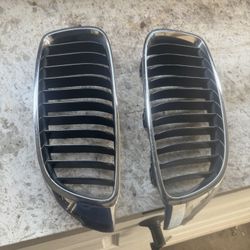 BMW Grills
