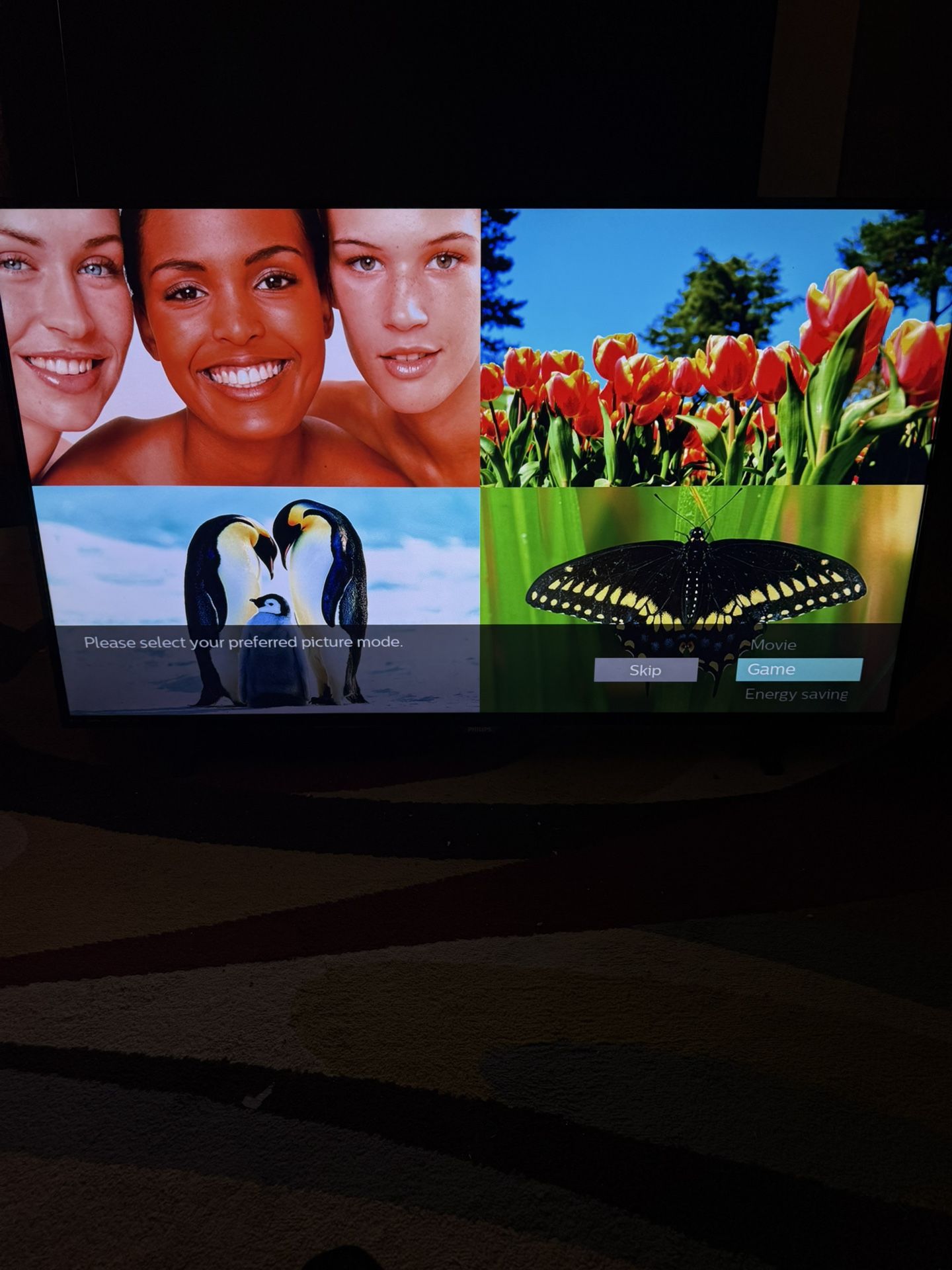 4K ULTRA HD SMART PHILIPS TV 55inch (Palm Bay)