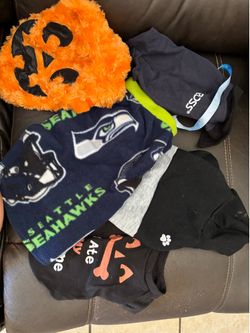 Dog Clothing Bundle – Halloween, Seahawks & More
