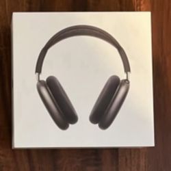 Apple Headphones 