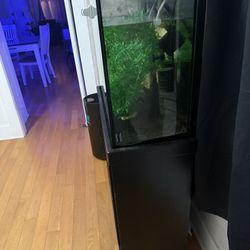 30. Gallon Tall  Fish Tank 