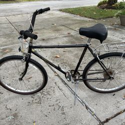 Twin cruiser, supreme bicycle beautiful vintage style mountain bike comfortable ride For tall people 26 inch wheels 21 inch frame  Shifts great!  Coul