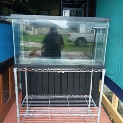 Fish Tank 40 Gallon 