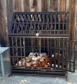 Extra Large Dog Kennel
