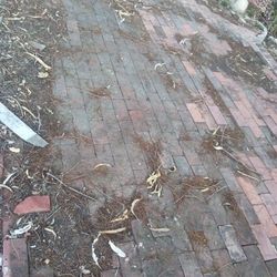 Red Brick. 20 Cents Each 