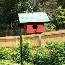 Bird Homes