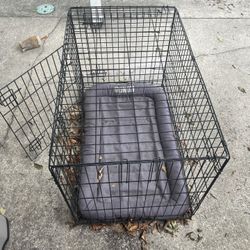 Dog Bowl And Dog Crate For Large Dogs