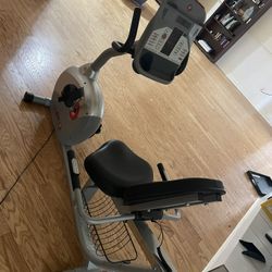 Schwinn 250 Recumbent Exercise Bike