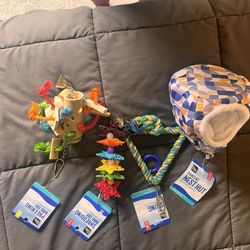 Brand New Bird Toys And Hut 