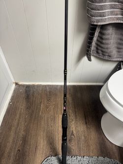 Penn carnage inshore rod 15-40 braid