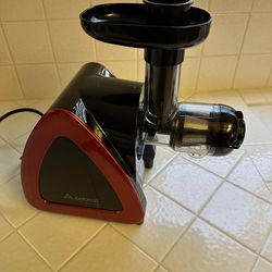 Aobosi Slow Juicer works great $35