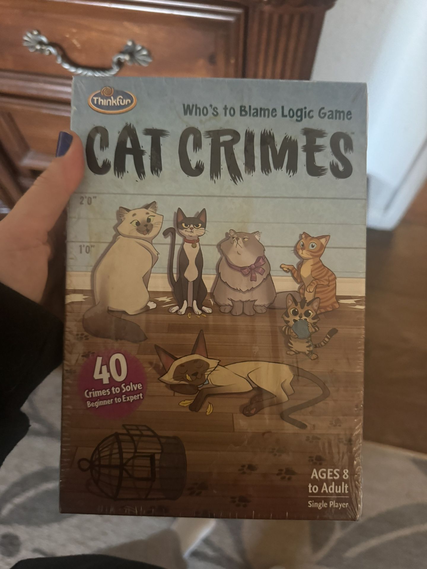 Cat Game 
