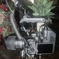 Canon R8 + Video Rig