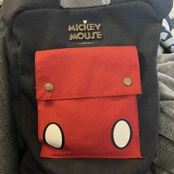 Disney Adult Backpack And Hat