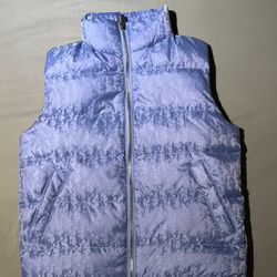 Dior Puffer Vest 