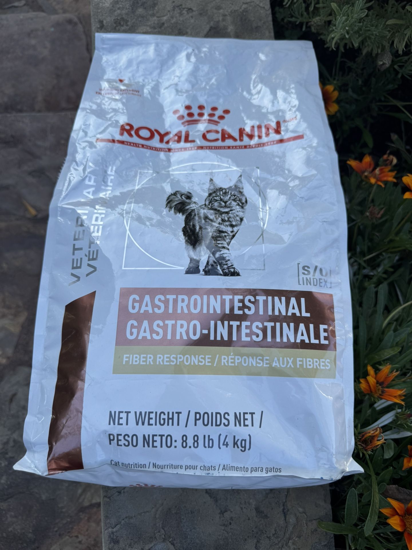 Royal Canin Gastro - Intestinal Cat Good