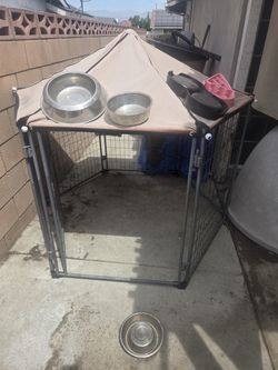Kennel