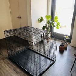 EveryYay Dog Crate XL