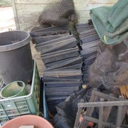 Plant Pots