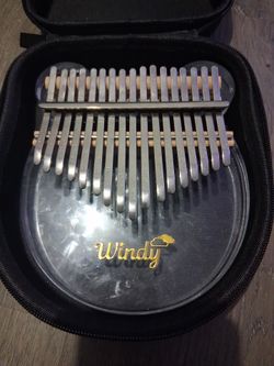 Windy 🎤