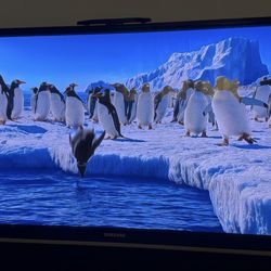 Samsung 51” Plasma TV