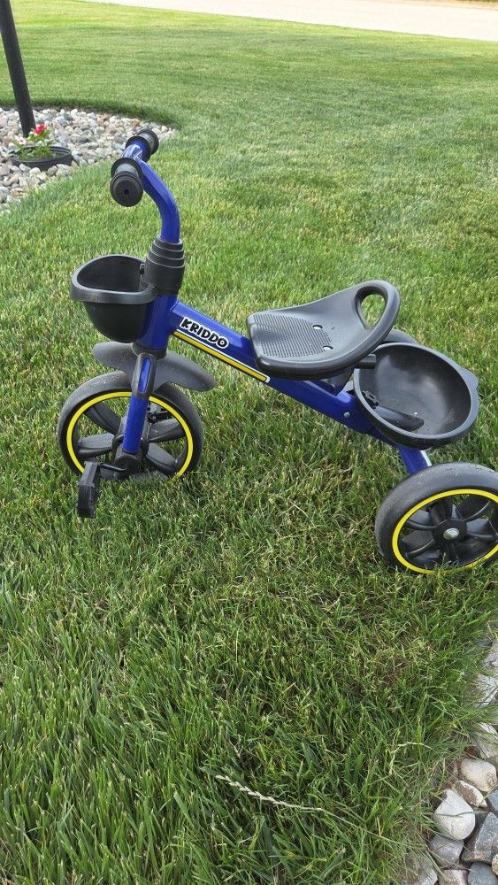 Kriddo Toddler Tricycle