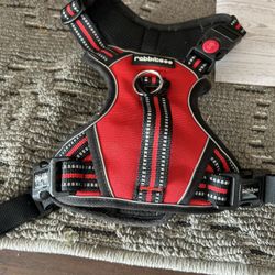 Red Dog Harness M