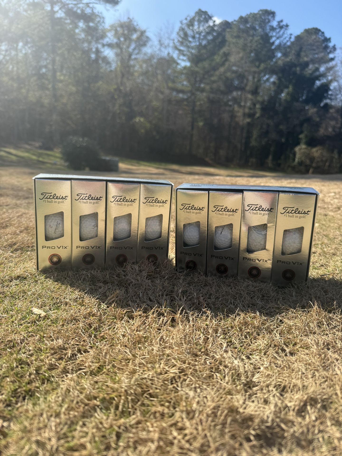 2 Dozen Titleist Pro V1x Golf Balls