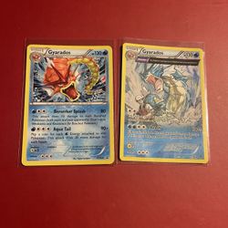 Pokemon Gyarados Xy109 & 21/98