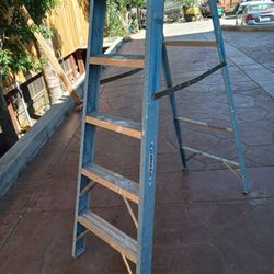 7 Ft Werner Ladder