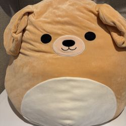 Squishmallows 