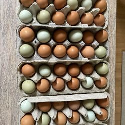 Farm Fresh Eggs 