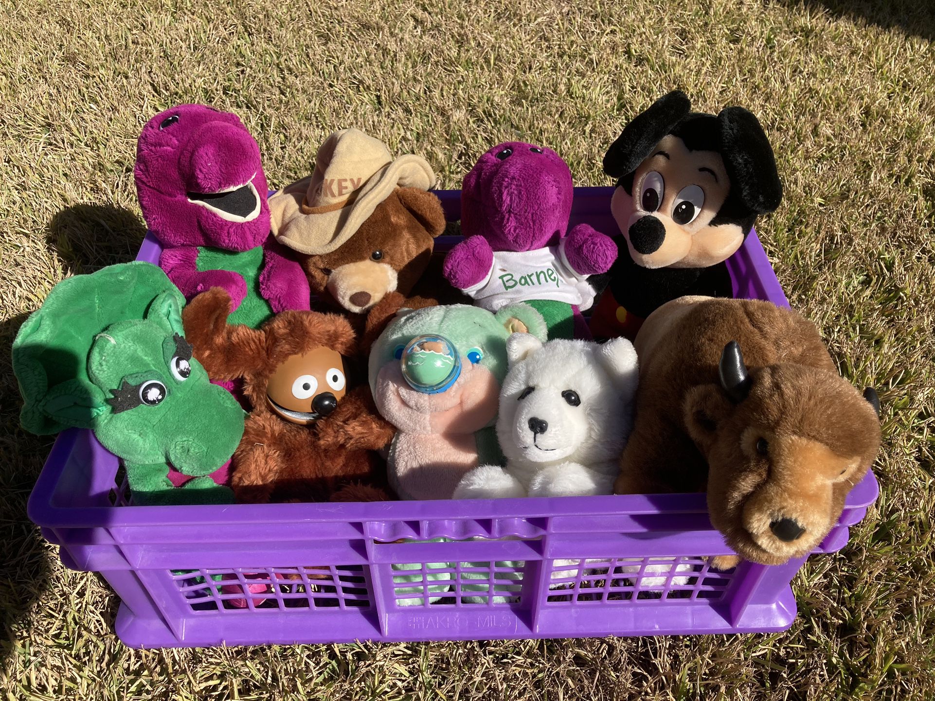 Plush Toy Doll Collection/ 9  Total Including Barney, Baby Bop, Mickey Mouse, Smokey Bear, Sesame Street And More!